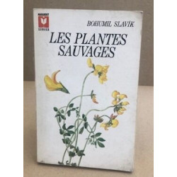 Les plantes sauvages/ nombreuses illustrations en couleurs