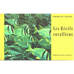 Les récifs coralliens