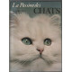 La passion des chats