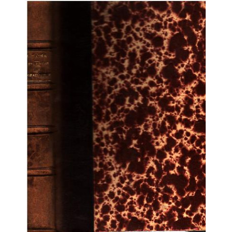Notes sur paris / vie et opinions de M. frederic -thomas graindorge