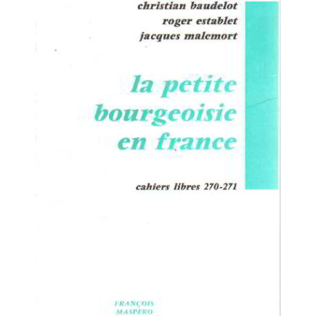 La petite bourgeoisie en france