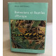 Batraciens et reptiles d'europe