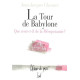 La Tour de Babylone : Que reste-t-il de la Mésopotamie