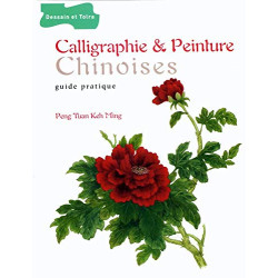 Calligraphie et peinture chinoises : Guide pratique