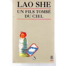 Un fils tombe du ciel