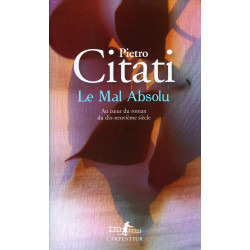 Le Mal absolu: Au coeur du roman du dix-neuvième siècle