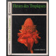 Fleurs des Tropiques