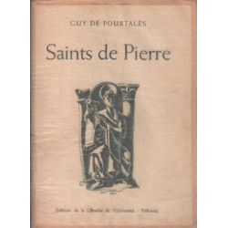 Saints de pierre : illustrations en couleurs de pierre monnerat