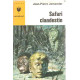 Safarti clandestin