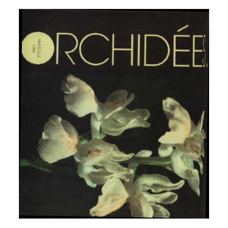Orchidées / jardin botanique clot-bey