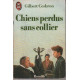 Chiens perdus sans collier