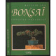 Réussir son bonsaï : Conseils pratiques