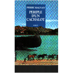 Périple d'un cachalot