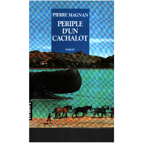 Périple d'un cachalot