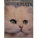 La passion des chats