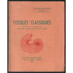 Fossiles classiques