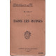 Dans les ruines