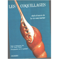 Les coquillages chefs d'oeuvre de la vie sous-marine