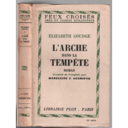 L'arche dans la tempête