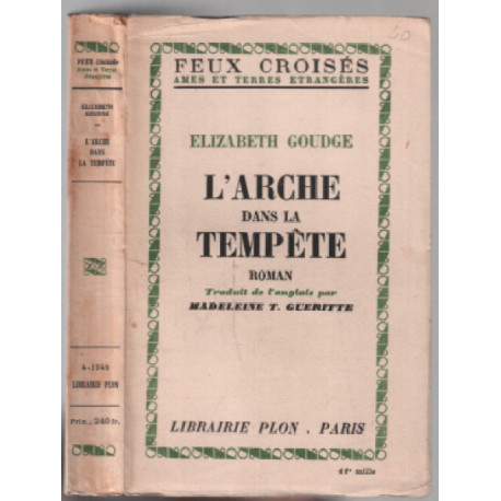 L'arche dans la tempête