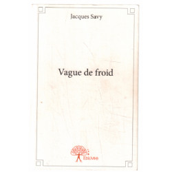 Vague de froid