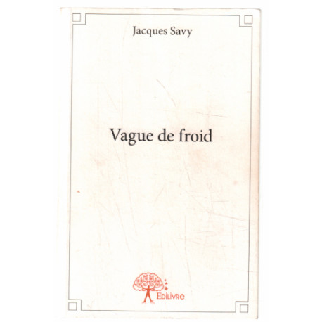 Vague de froid