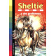 Sheltie : Sheltie a des problèmes
