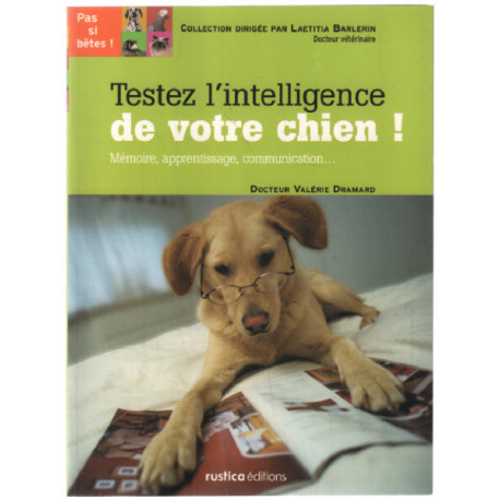Testez l'intelligence de votre chien : Mémoire apprentissage...