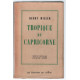 Tropique du capricorne