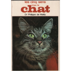 Les cinq sens chez le chat