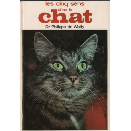 Les cinq sens chez le chat