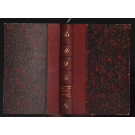 Seize mois autour du monde 1867-1869 et particulièrement aux indes...
