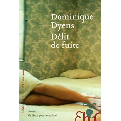 Délit de fuite
