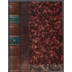 Conversations de goethe / tome 2