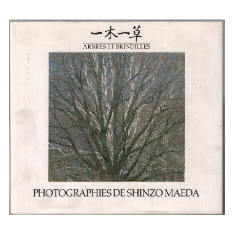 Arbres et brindilles