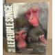 Peuple singe