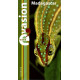 Madagascar