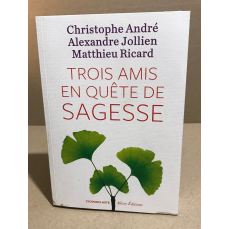 Trois amis en quête de sagesse : Un moine un philosophe un...