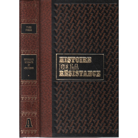 Rebelles soldats et citoyens / histoire de la résistance