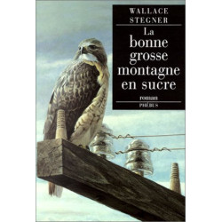 La Bonne Grosse Montagne en sucre