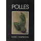 POLLES (bronzes) exposition du 4 juillet-12 octobre 1986