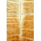 La Peau fantôme