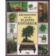 Décoration avec les plantes d'intérieur
