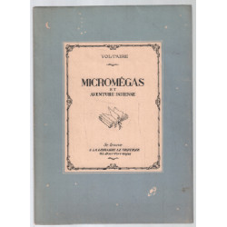 Micromégas et aventure indienne
