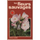 Les fleurs sauvages