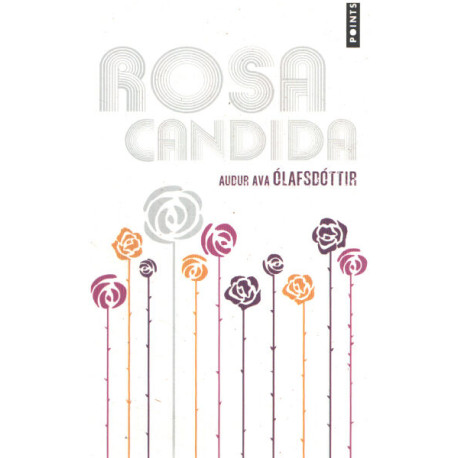 Rosa Candida