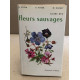 Guide des fleurs sauvages