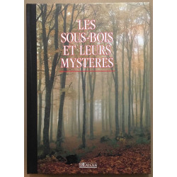 Les sous-bois et leurs mystères