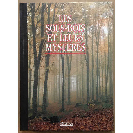 Les sous-bois et leurs mystères