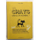 Les chats ont-ils un nombril